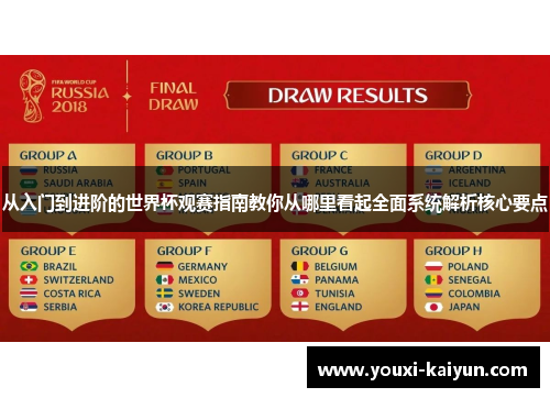 从入门到进阶的世界杯观赛指南教你从哪里看起全面系统解析核心要点