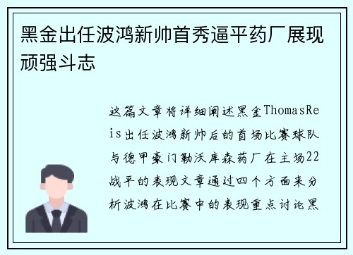 黑金出任波鸿新帅首秀逼平药厂展现顽强斗志 黑金出任波鸿新帅首秀逼平药厂展现顽强斗志